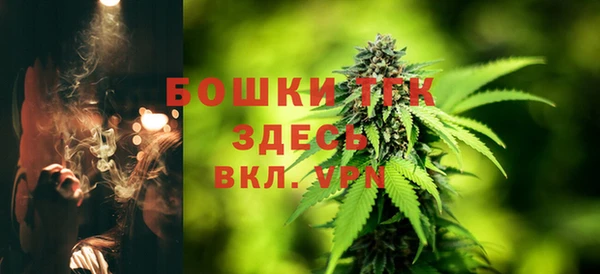 дурь Сясьстрой
