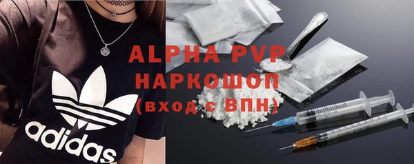 дурь Сясьстрой