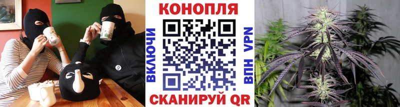 Купить  Тара  Марихуана ГИДРОПОН 